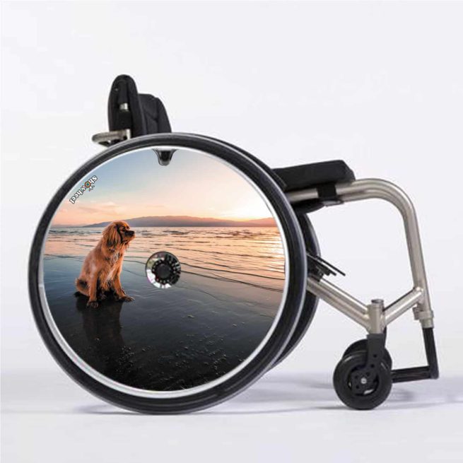Hund am Strand