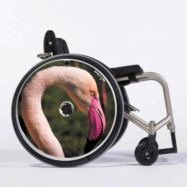 Flamingo-Schnabel