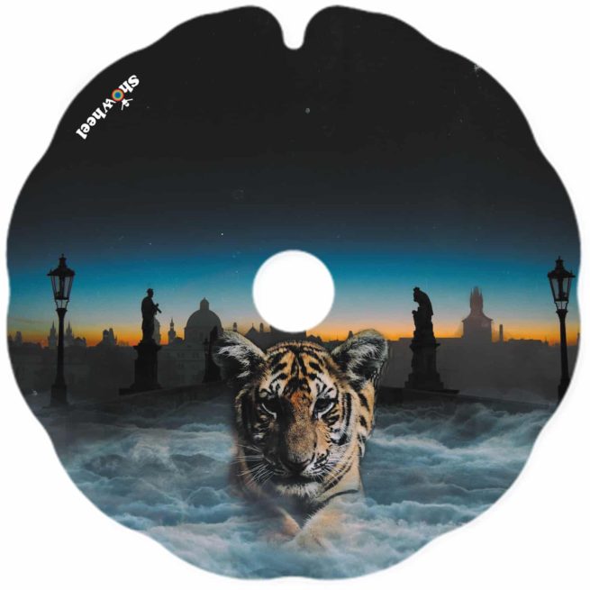 Schlafender Tiger – Bild 2