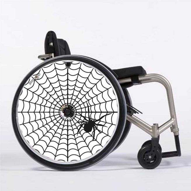 Spinne