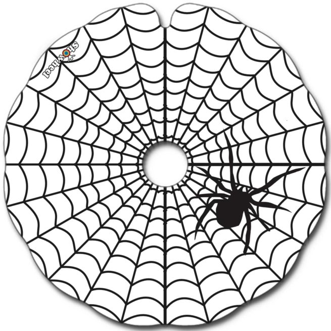 Spinne – Bild 2